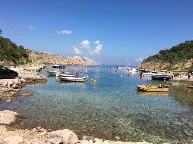 Wil Vannese Stinica Dış mekan fotoğraf