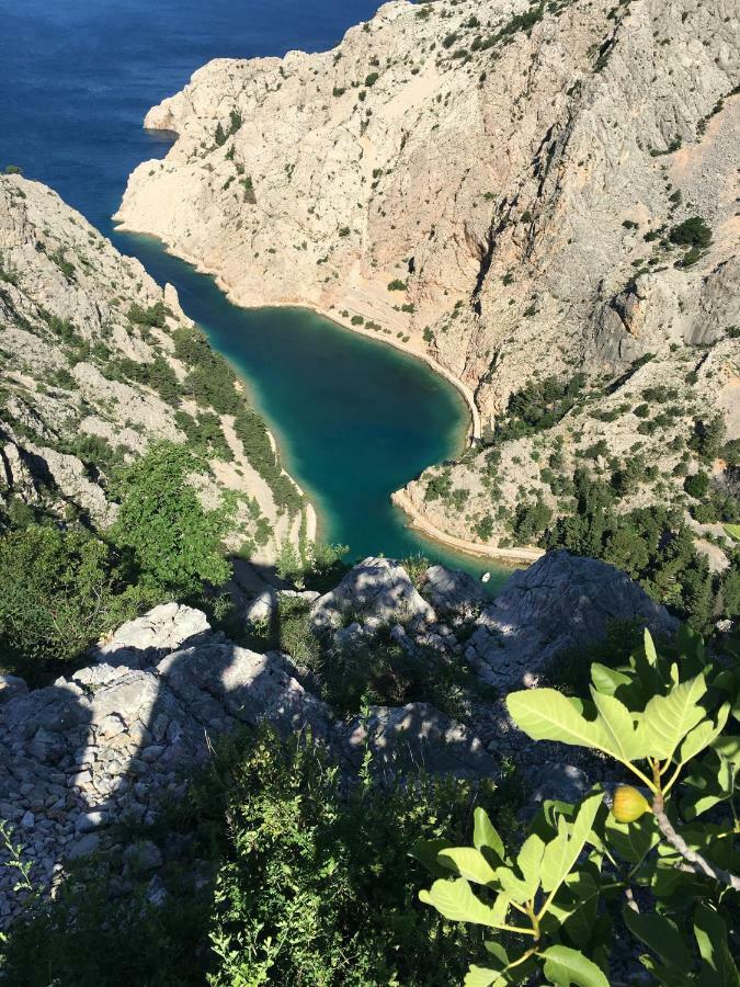 Wil Vannese Stinica Dış mekan fotoğraf