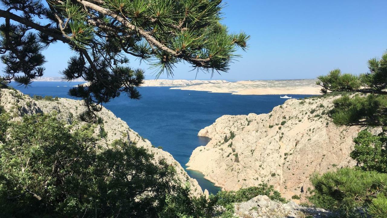 Wil Vannese Stinica Dış mekan fotoğraf