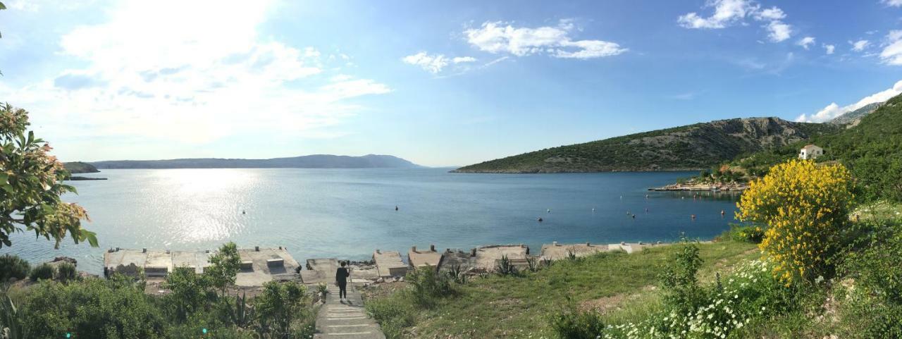 Wil Vannese Stinica Dış mekan fotoğraf